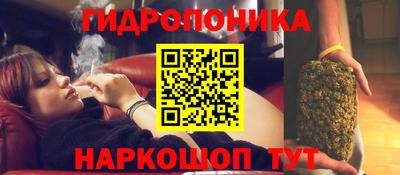 гашик Ликино-Дулёво