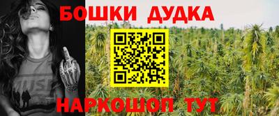 a pvp Лесосибирск