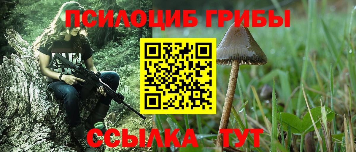 Элиста  Галлюциногенные грибы мицелий  Вход с VPN 